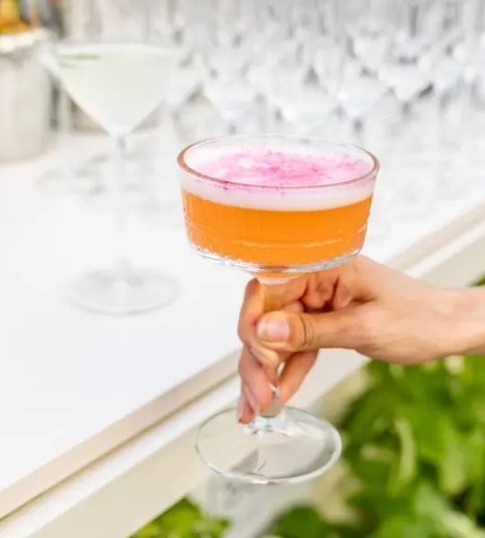 A hand holding a coupe cocktail with a pink foam top at the bar
