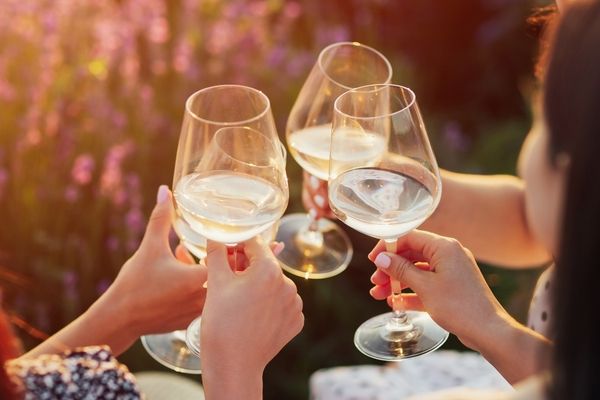 Cheers wine tasting hens party nice girls