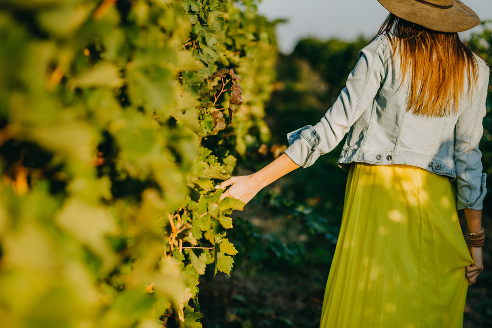 A woman in a yellow skirt walking between green rows of vines